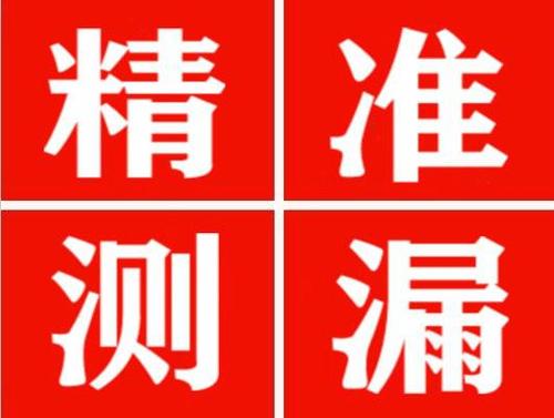 亚东尚嘉漏水精准查找